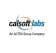 Data Analyst I at Calsoft Labs Austin, TX