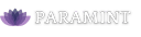 Power BI Developer & Training Specialist