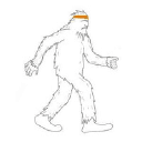 Senior Product Manager 